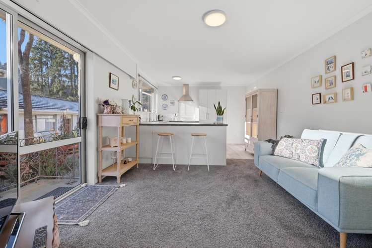 388B Kaikorai Valley Road Bradford_3