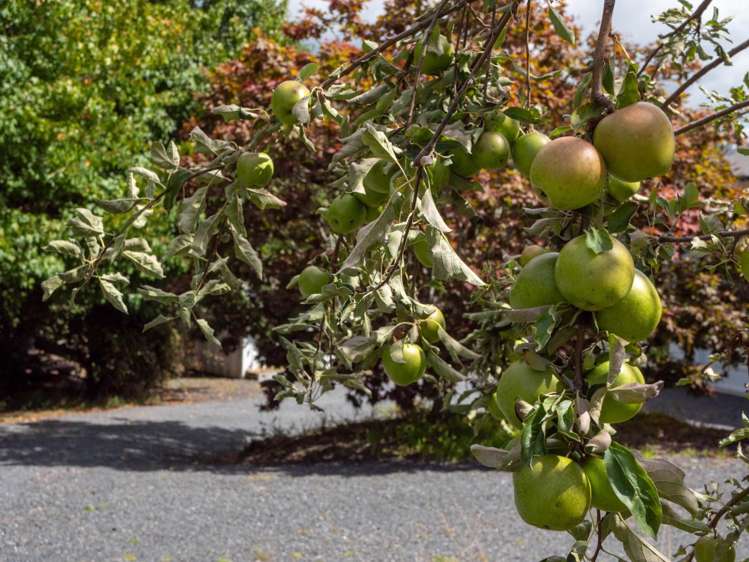 153 Showground Road Waimate North_32