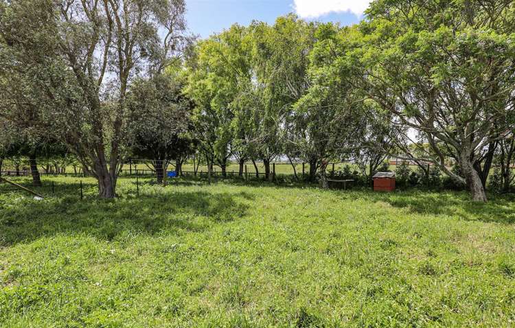 530 No 1 Road Springdale_14