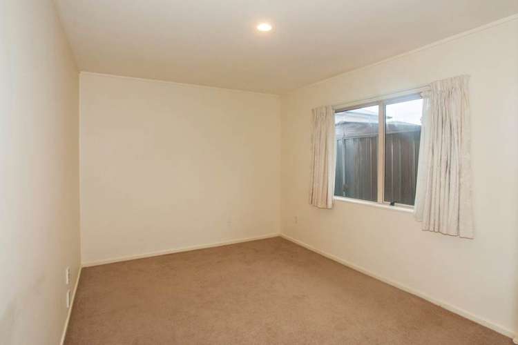 17e Cradock Street Avondale_8