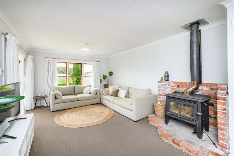 93 Trickers Road Bulls_13