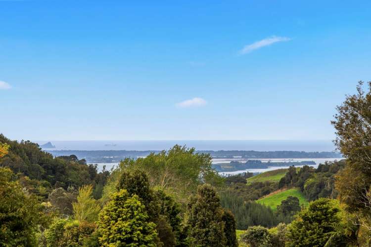 106 Leyland Road Whakamarama_1