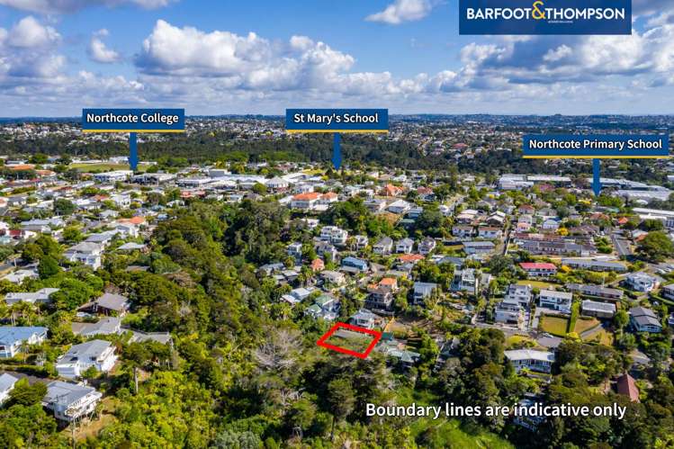 25a Bush View Lane Northcote Point_2