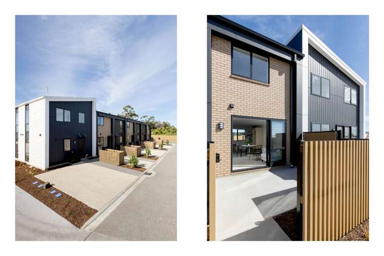 5 Te Ara Tanekaha Omokoroa_22