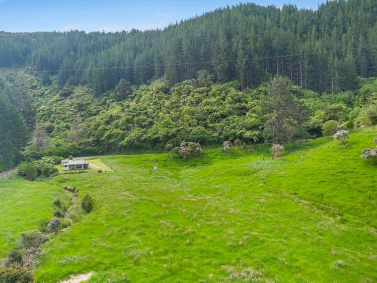 Kakapo Bay Port Underwood_11