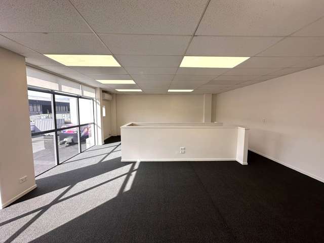 35J Maurice Road Penrose_4