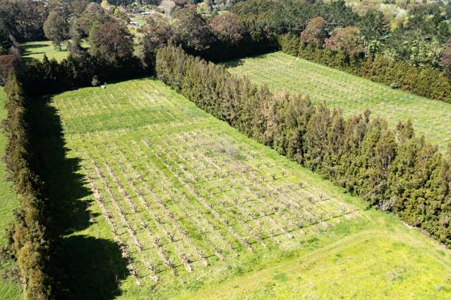 1374 Pipiwai Road Ruatangata_4