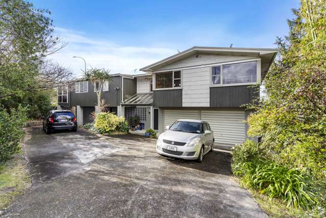 1 Bridge Avenue Te Atatu South_1