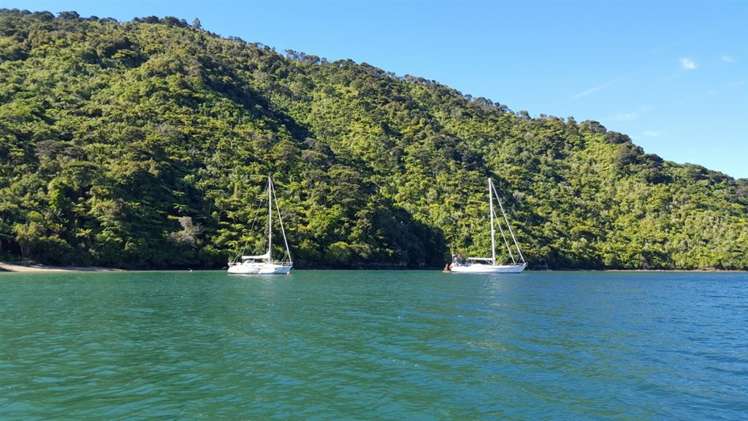 Torea Moua Bay Marlborough_23