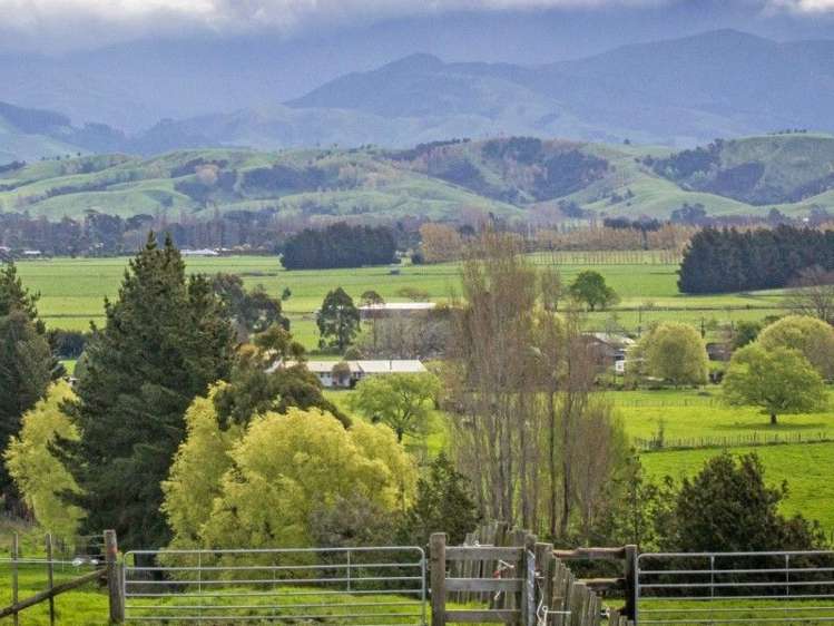 41 Ardsley Lane Opaki_18