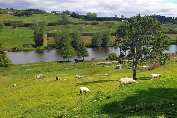 3 Kelston Way Tauriko_24