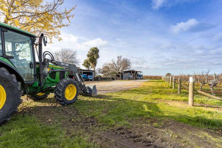 21 Burnside Avenue Springlands_13