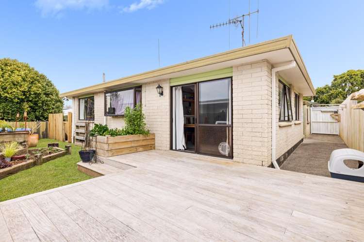 157b Sixteenth Avenue Tauranga South_5