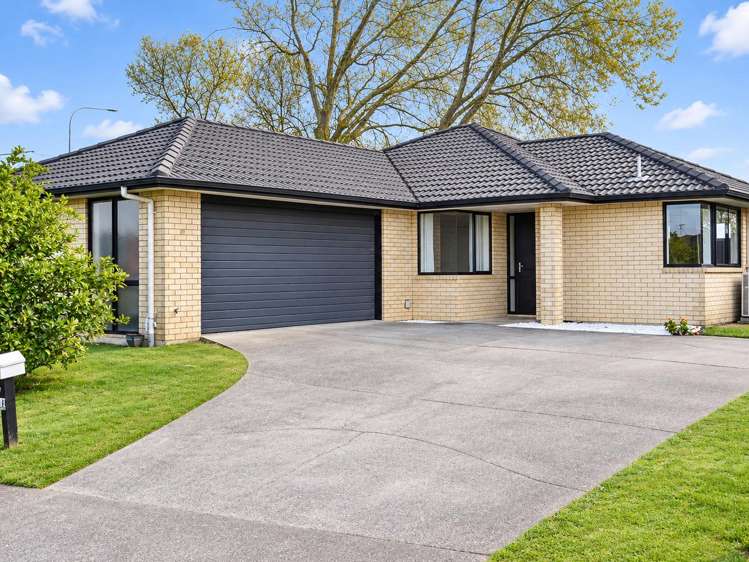 17 Salisbury Place Hamilton East_17