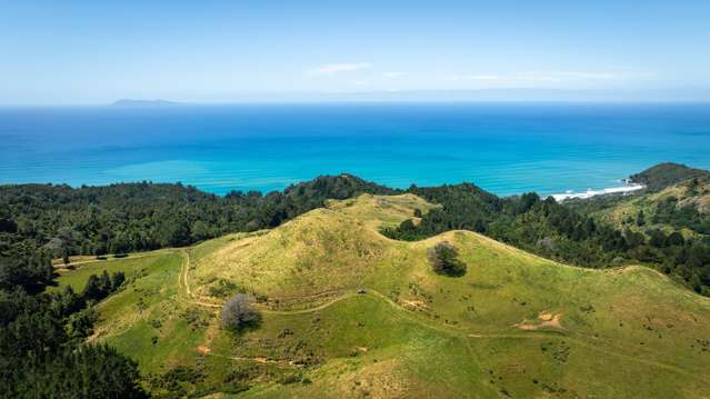 31 Ngatitangata Road Waihi_4