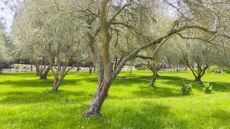 5 Petersen Place Waipukurau_23