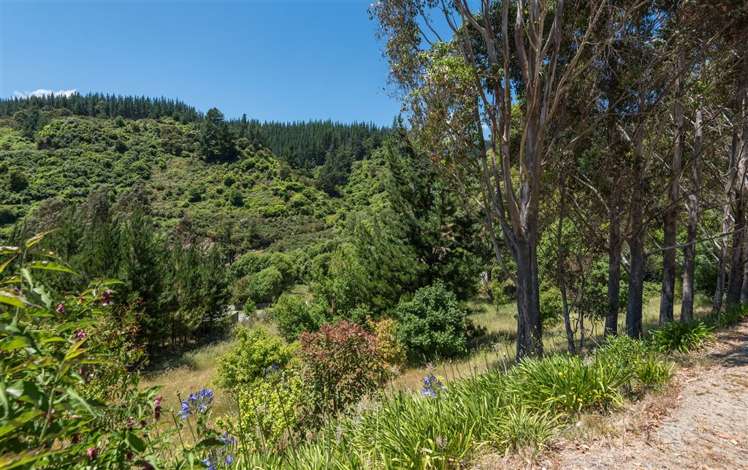 98 Mac'S Road Hira_21