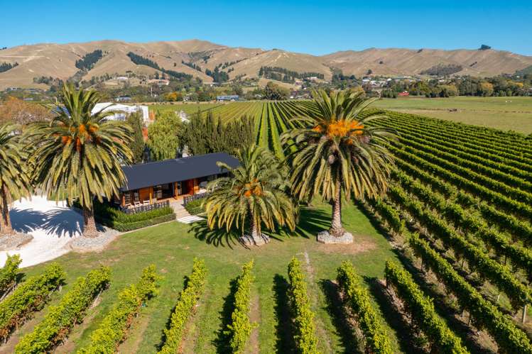 Alabama Road Riverlands_24