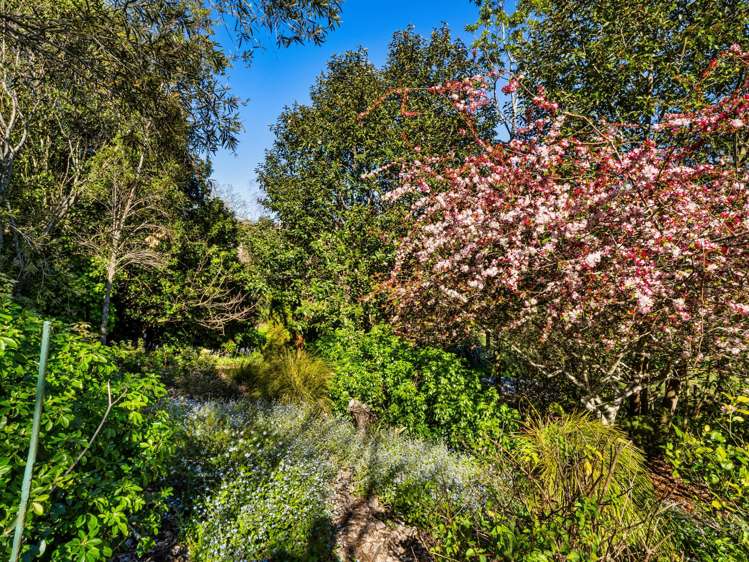 139 Lochhead Road Te Puna_36