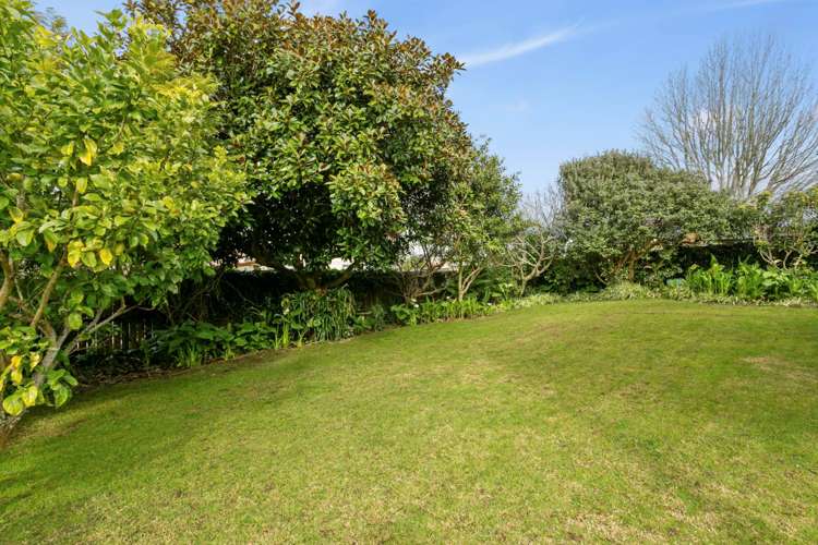 56 Mirrabooka Avenue Botany Downs_3