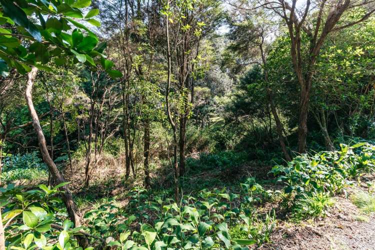 12 Obrien Road Omiha_13