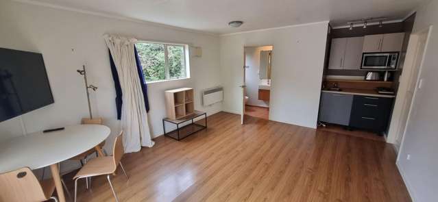 Cozy, warm Mt Eden Studio
