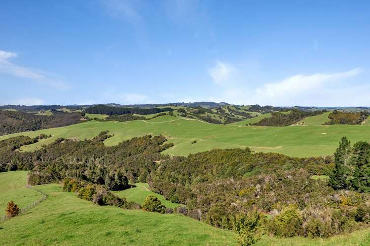 Matawaia Maromaku Road Maromaku_14