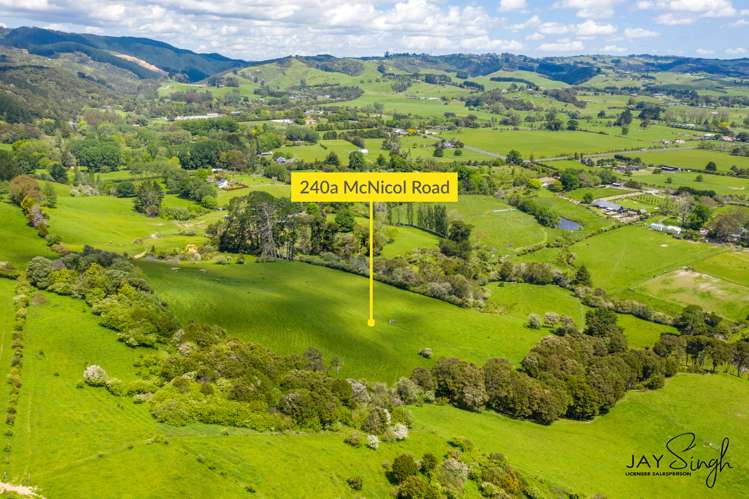 240a Mcnicol Road Clevedon_5