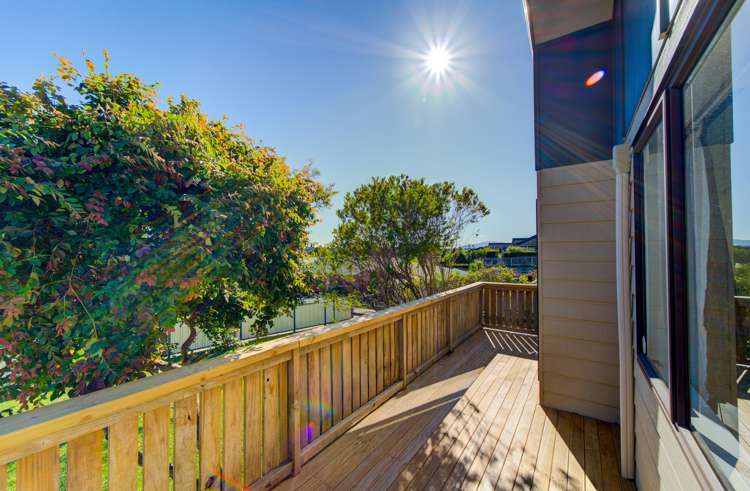 367 Swarbrick Drive Te Awamutu_7