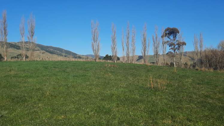 3 Williams Road Tokomaru_10