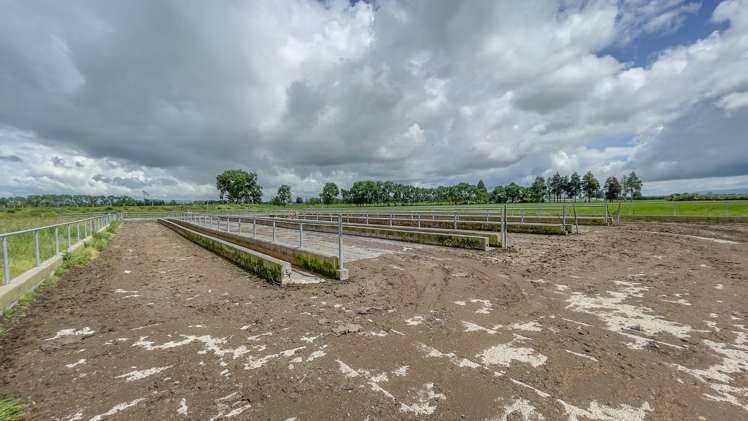 6292 State Highway 2 Paeroa_12