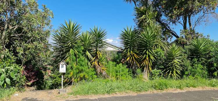 29 Catkin Crescent Papatoetoe_6