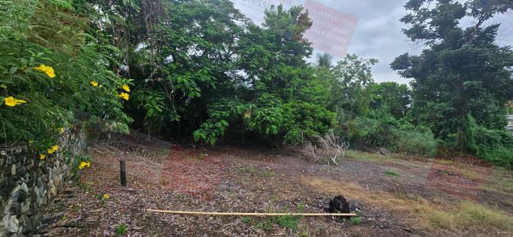 Address withheld Sigatoka_19