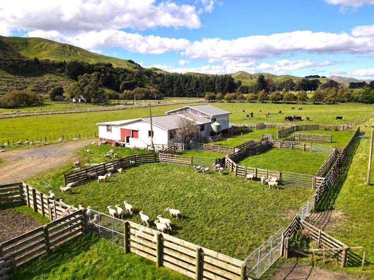 672 Weber Road Dannevirke_10