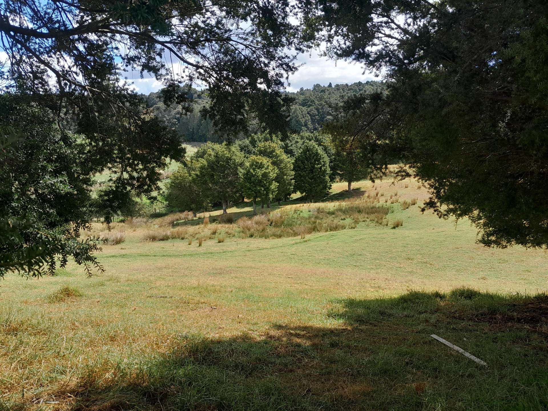 596 Waimate North Road Kerikeri_0