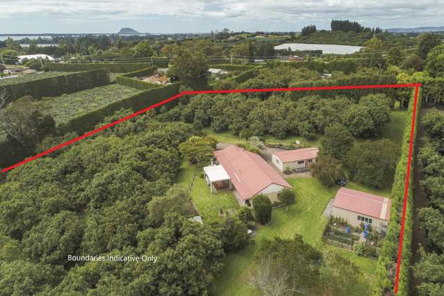 71 Plummers Point Road Whakamarama_1