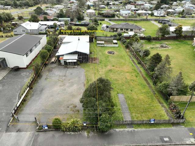 61 Mamaku Street Mamaku_1