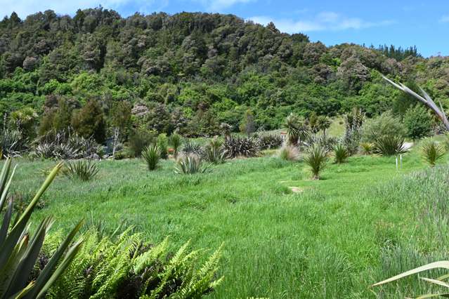 Stafford Loop Road Hokitika_4