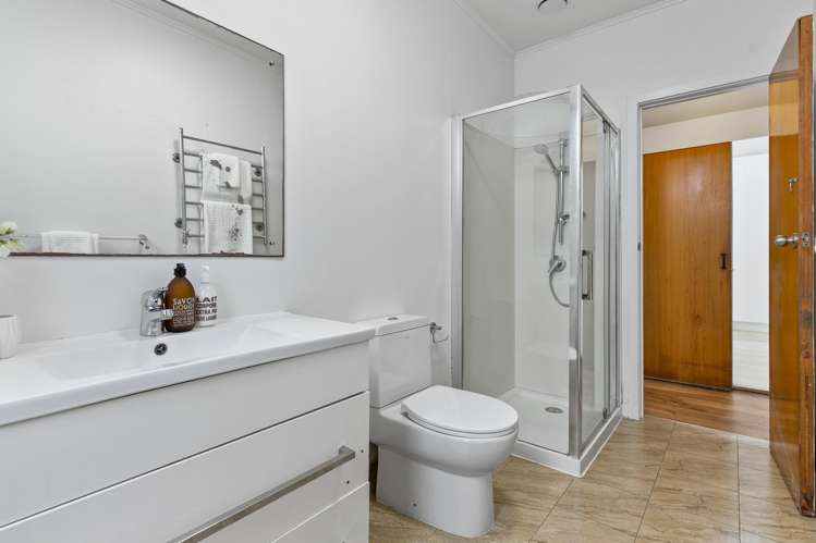 123 Williamson Avenue Grey Lynn_10