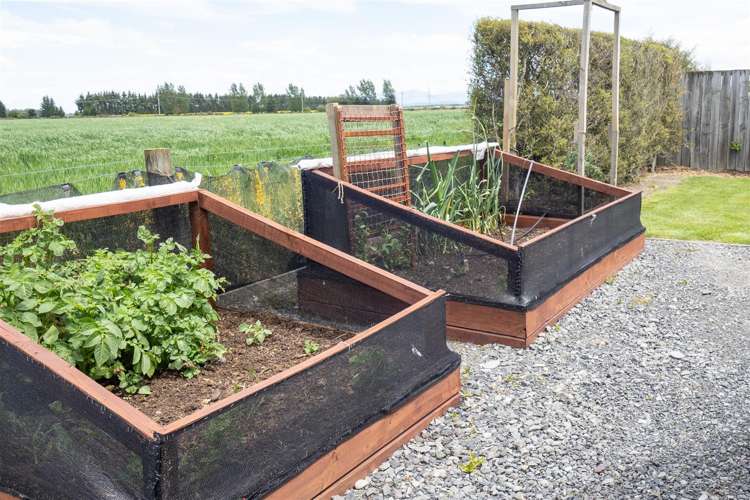 12 Wayne Place Methven_24