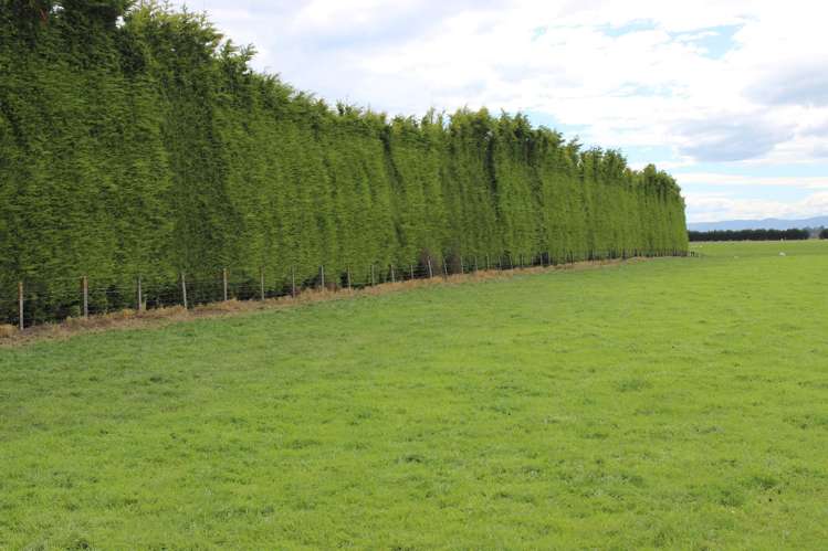 401 Spar Bush School Road Spar Bush_7