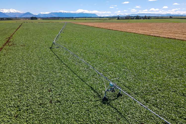 3239 Thompsons Track Ashburton Forks_5