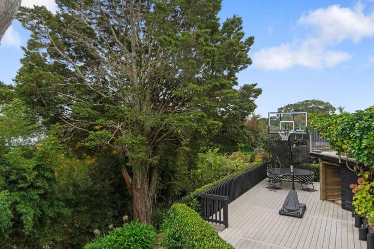 78A Arney Road_3