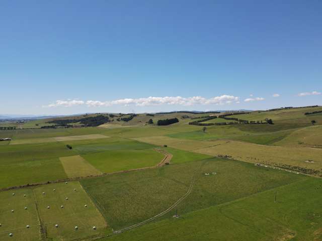 196 Devereux Road Winton_3