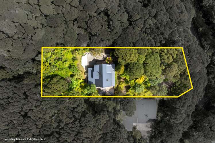 58 Opanuku Road Henderson Valley_22