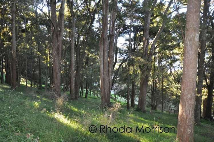 125 Jumna Road Maungaturoto_18