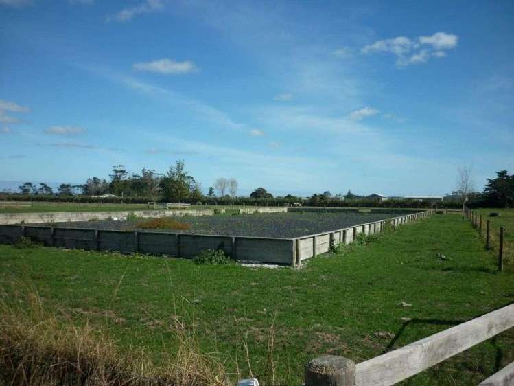 175 Awakino Point East Road Dargaville Surrounds_10