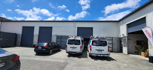 Tidy Upper Hutt Unit
