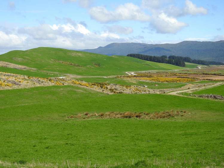 972 Slopedown Road Catlins Surrounds_12