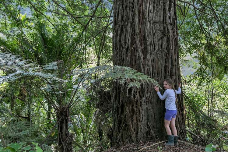 142 Wade River Road Wade Heads_14